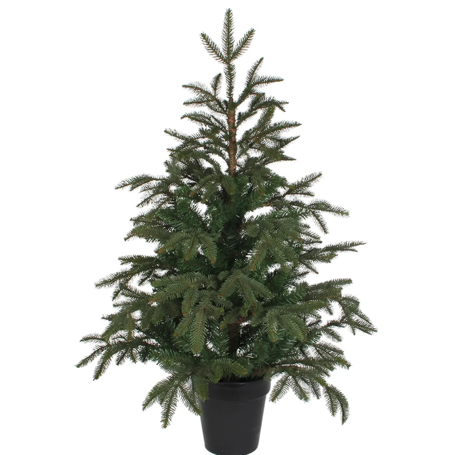 Baum Frasier Fir Grun, 100 Cm
