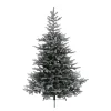 Baum Grandis Fir Beschneit, 120 Cm