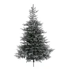 Baum Grandis Fir Beschneit, 150 Cm