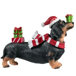 Dackel Mit Geschenken