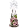 Dreamlight "Frozen Nature" - Engel Medium