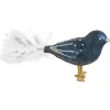 Glasvogel Dunkelblau