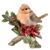 Rotkehlchen Auf Weihnachtsstern