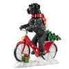 Schnauzer Auf Fahrrad