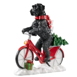 Schnauzer Auf Fahrrad