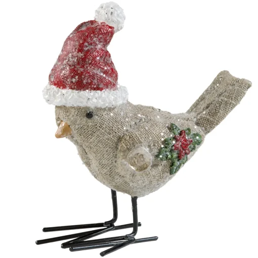 Vogel Mit Weihnachtsmutze