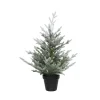 Weihnachtsbaum Im Topf, Beschneit, 75 Cm